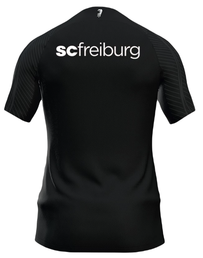 Koszulka SC Freiburg 2024/2025 Trzecia Third