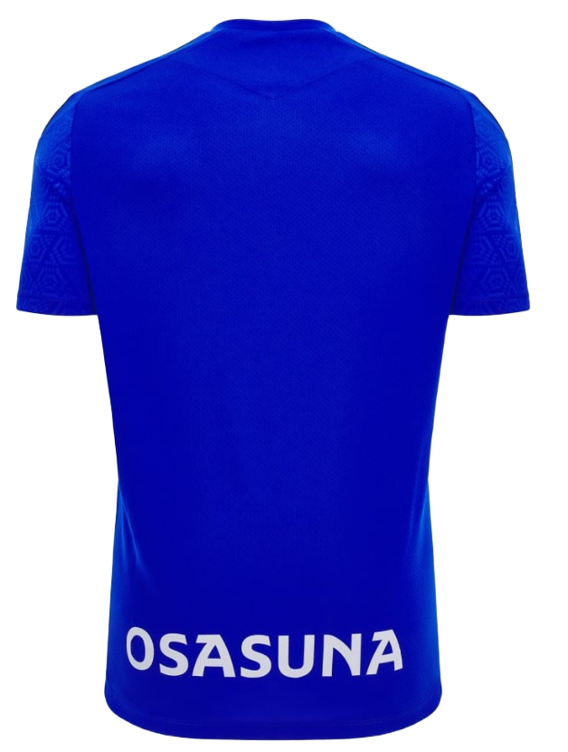 Koszulka Osasuna 2024/2025 Treningowa Training