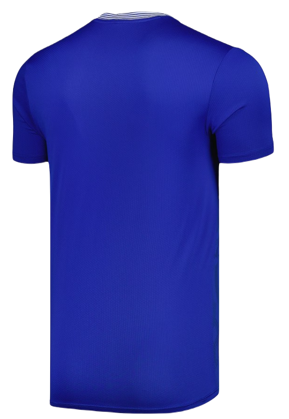 Koszulka Everton 2024/2025 Domowa Home