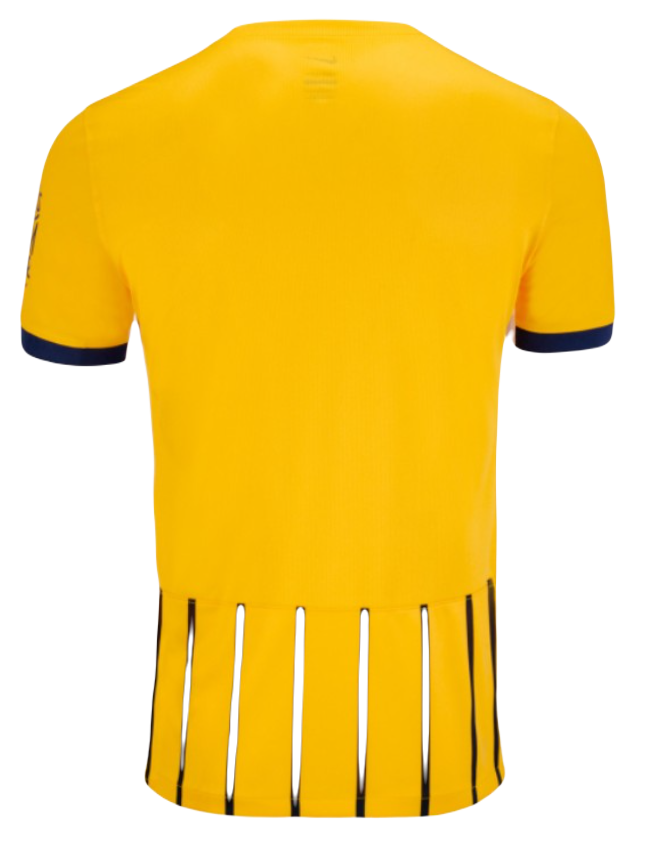 Koszulka Brighton 2024/2025 Wyjazdowa Away